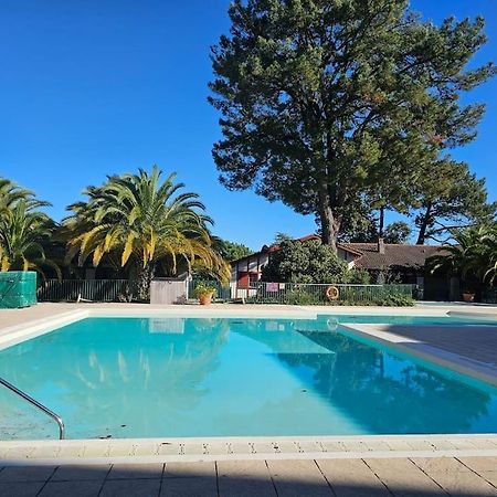T2 Ciboure 4 Pers Avec Piscine Ideal Vacances Dış mekan fotoğraf